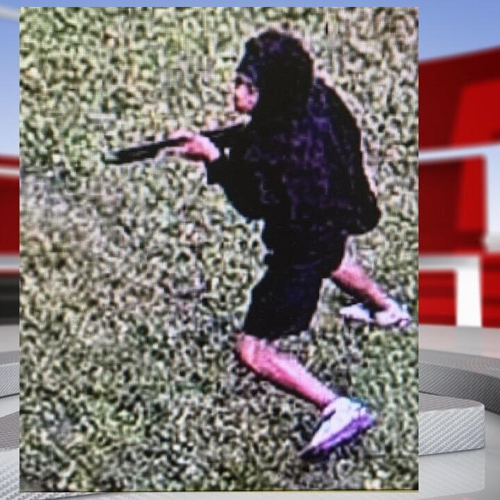 algonquin park suspect.jpg